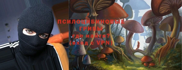 бошки Алзамай