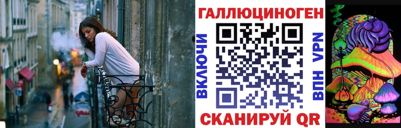 Галлюциногенные грибы Psilocybine cubensis  Салехард 